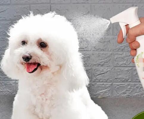 進(jìn)口寵物香波需要什么手續(xù)？(寵物香波進(jìn)口報關(guān)手續(xù))