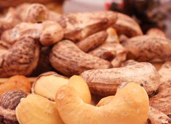 越南鹽焗腰果進(jìn)口報關(guān)清關(guān)代理服務(wù)【經(jīng)典案例】